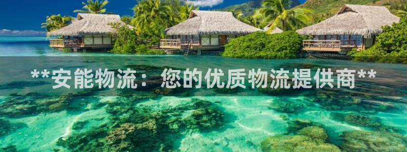 28圈选28ng官网：**安能物流：