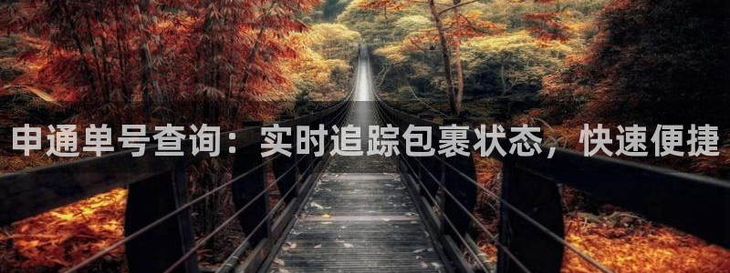 28圈登录流程：申通单号查询：实时追