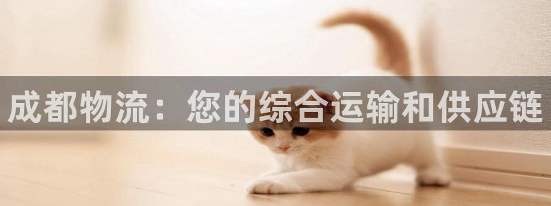 28圈黑钱：成都物流：您的综合运输和