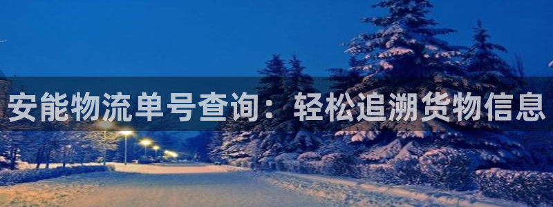 28圈.ccmo：安能物流单号查询：