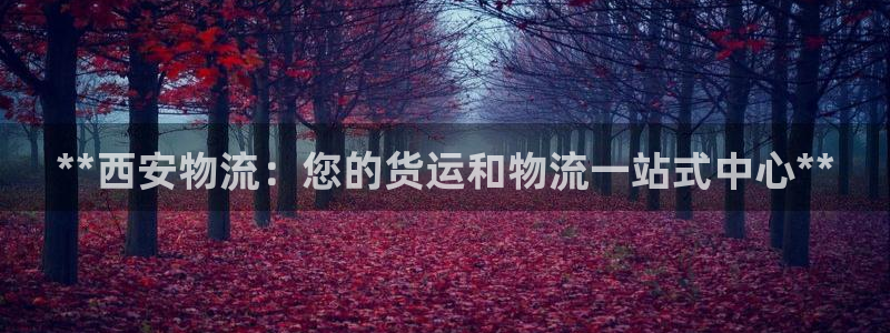 28圈注册网站链接是什么：**西安物流：您的货运和物流一站式