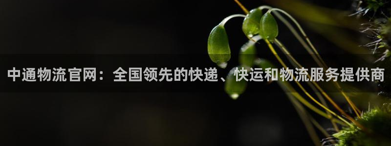 28圈那个才是充值账号：中通物流官网