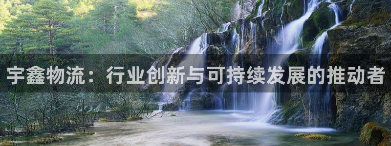 28圈加拿大真假怎么看：宇鑫物流：行