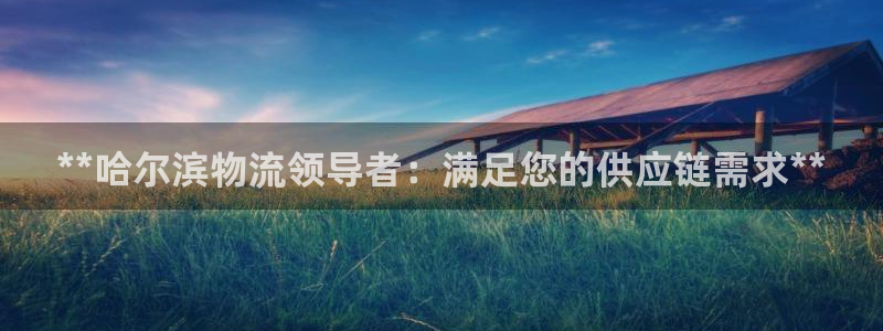 28圈里的财神：**哈尔滨物流领导者：满足您的供应链需求**