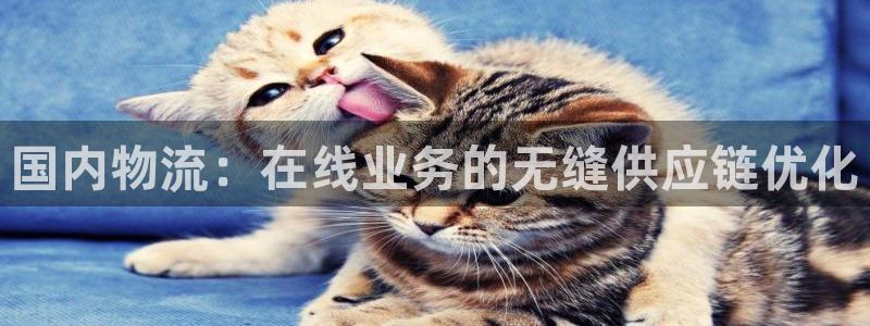 28圈充值方式