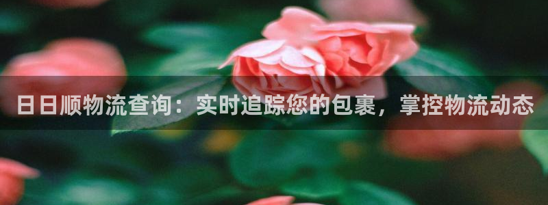 28圈官网平台下载：日日顺物流查询：