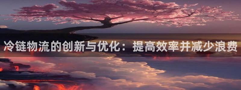 28圈取保：冷链物流的创新与优化：提