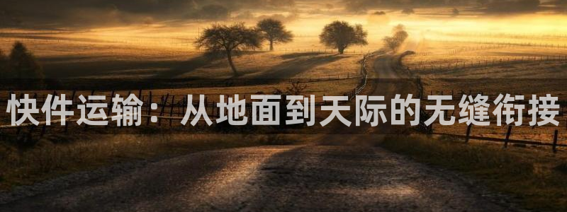28圈v6能卖多少：快件运输：从地面