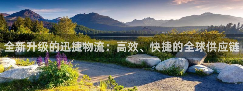 28圈pg麻将胡了：全新升级的迅捷物