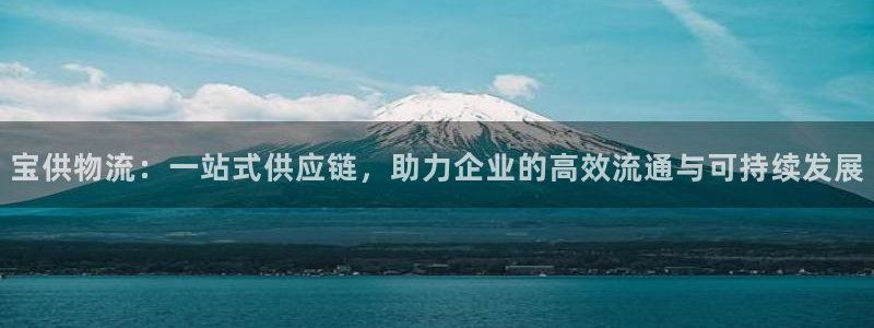 28圈.ccm正版：宝供物流：一站式