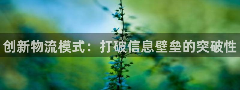 28圈头像：创新物流模式：打破信息壁