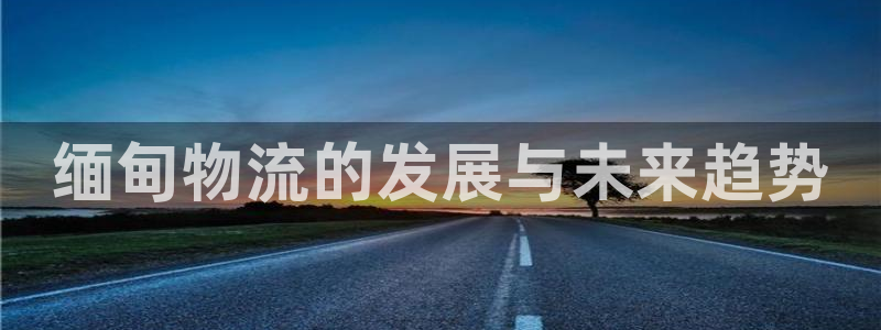 28圈官方官网：缅甸物流的发展与未来