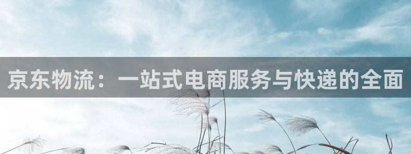 28圈麻将胡了在线试玩：京东物流：一