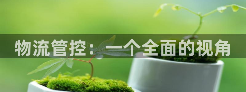 28圈充值不处理怎么办：物流管控：一
