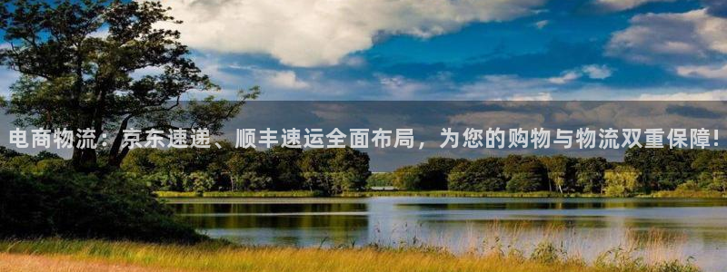 28圈链官网：电商物流：京东速递、顺