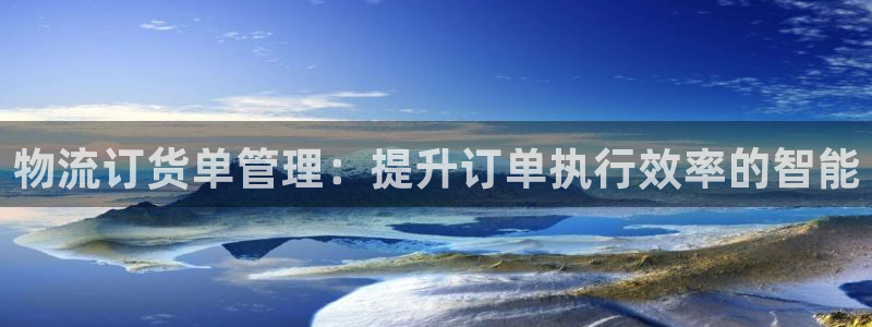 南宫28圈官网版：物流订货单管理：提