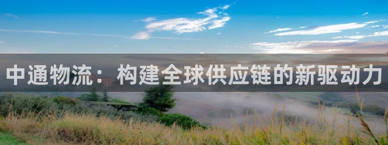 28圈麻将：中通物流：构建全球供应链