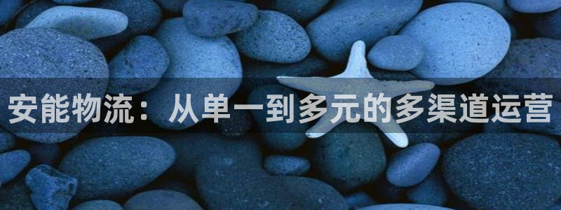 28圈口戒指是多大：安能物流：从单一