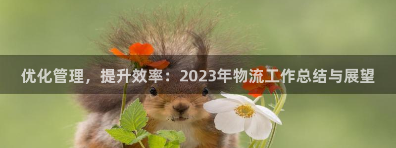 28圈官方版正版：优化管理，提升效率