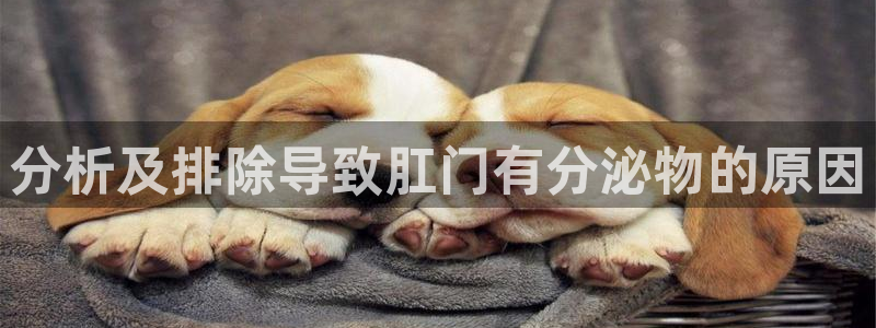 28圈退款教程：分析及排除导致肛门有