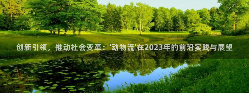 28圈娱乐官网网页：创新引领，推动社