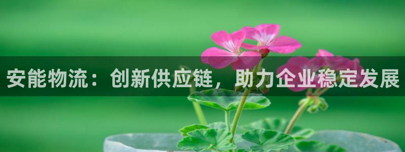 28圈提款一直没到：安能物流：创新供应链，助力企业稳定发展