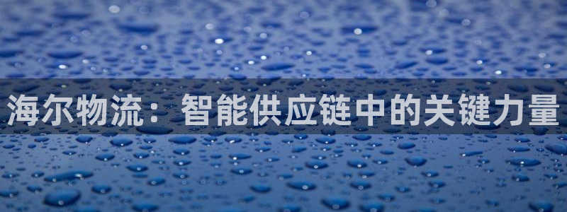 28圈：海尔物流：智能供应链中的关键