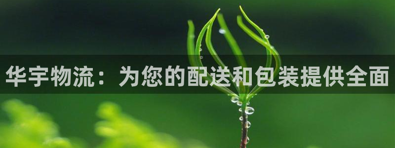 28圈app官网少林足球