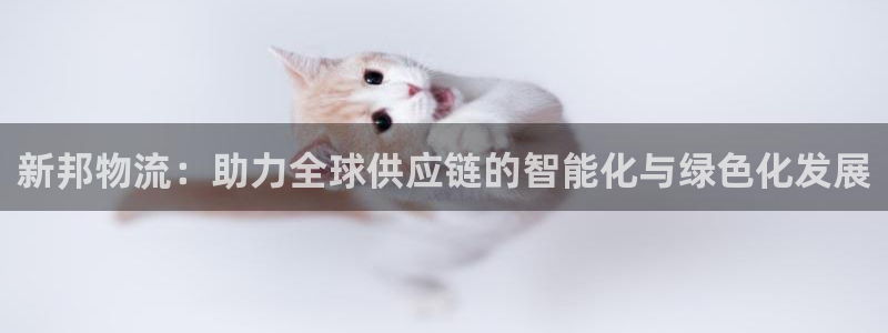 28圈是正规平台吗：新邦物流：助力全球供应链的智能化与绿色化