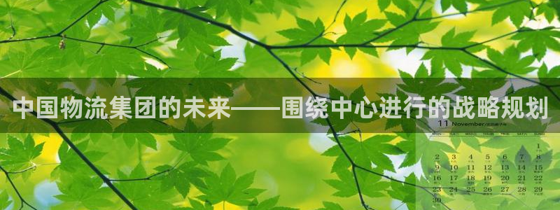 28圈加拿大在线预测：中国物流集团的
