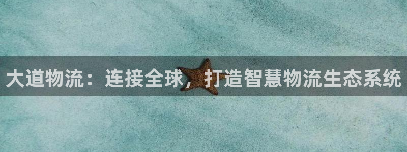 28圈官网版2024：大道物流：连接