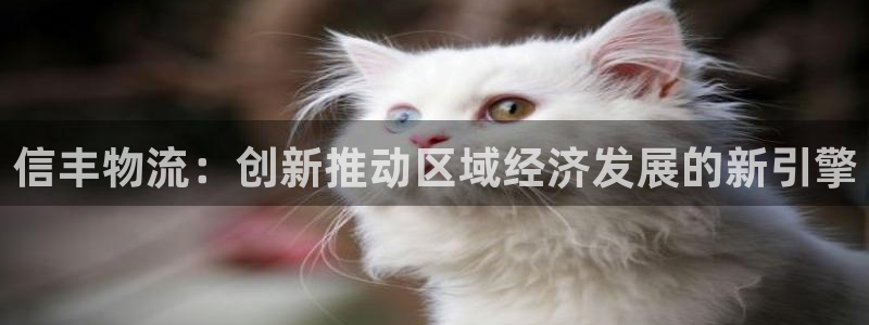 28圈黑款：信丰物流：创新推动区域经
