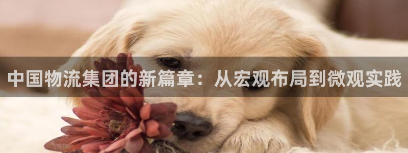28圈注册送：中国物流集团的新篇章：
