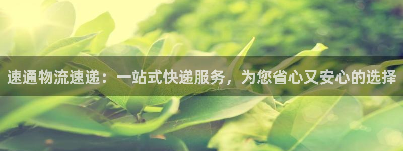 28圈的自行车：速通物流速递：一站式