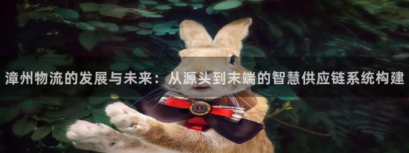 28圈加拿大6.0：漳州物流的发展与