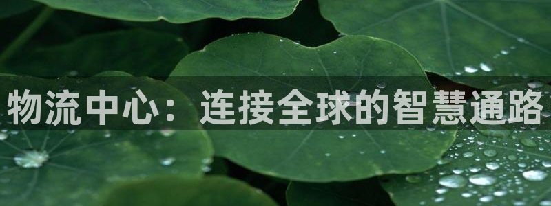 28圈哪个最赚钱