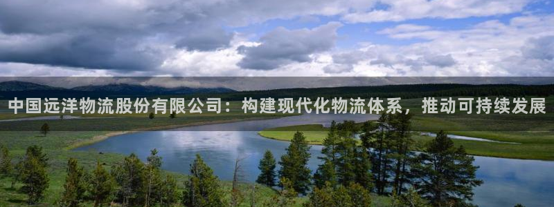28圈可以退款吗：中国远洋物流股份有