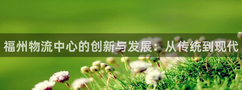 28圈辅助：福州物流中心的创新与发展