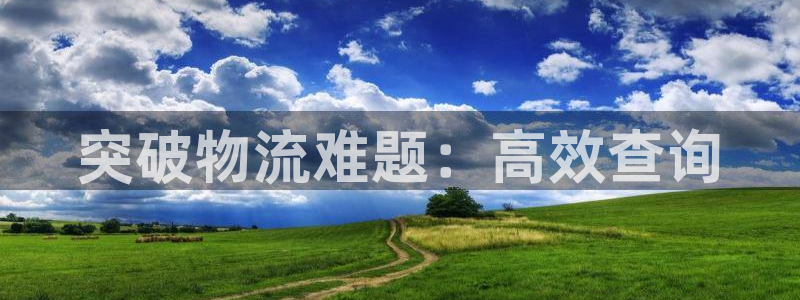 28圈注册网站多少钱一个：突破物流难