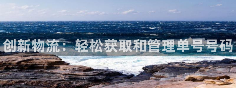 28圈反水怎么算：创新物流：轻松获取