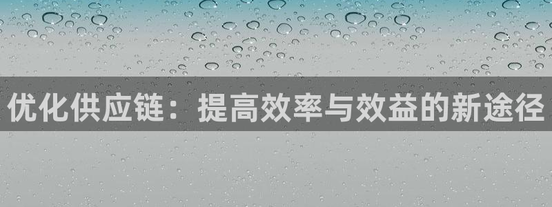 28圈网赌案件：优化供应链：提高效率