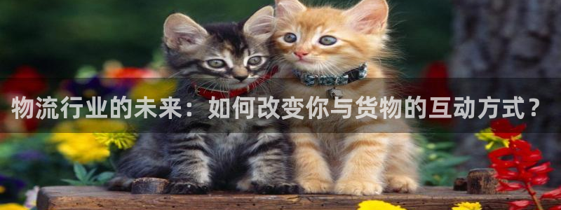 28圈为什么没有赢过一次：物流行业的