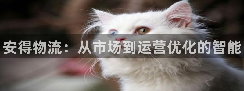 28圈加拿大走势