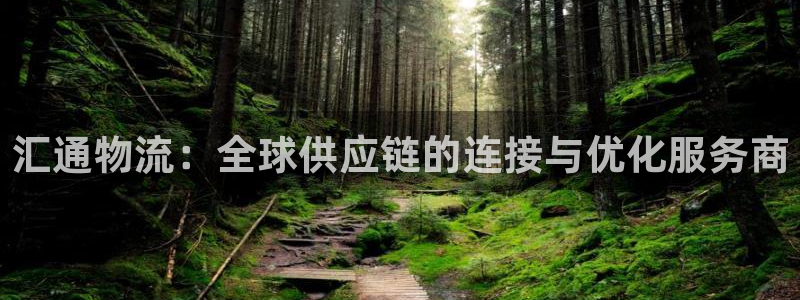 28圈pg麻将胡了：汇通物流：全球供
