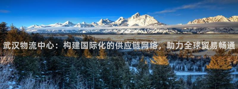 28圈.ccm正版：武汉物流中心：构