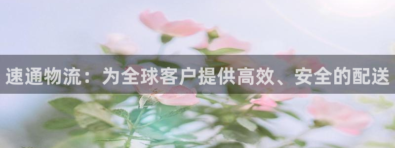 28圈忘记账号：速通物流：为全球客户