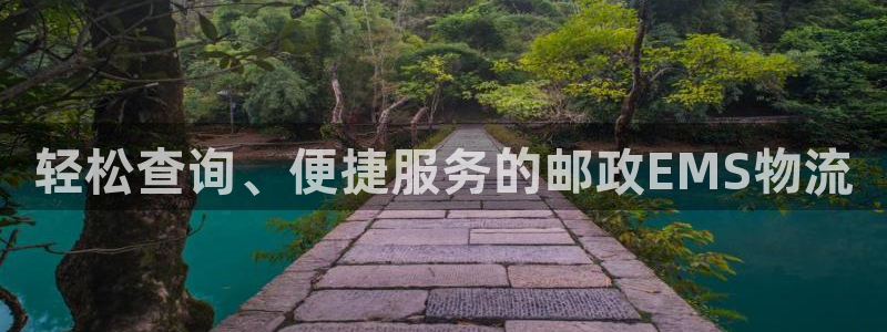 28圈大神预测：轻松查询、便捷服务的