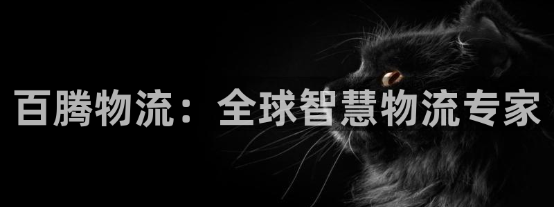 28圈注册号：百腾物流：全球智慧物流