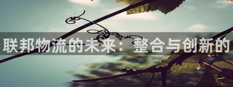 28圈官方网站：联邦物流的未来：整合