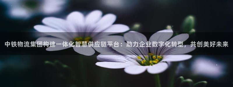 28圈加拿大模拟器：中铁物流集团构建